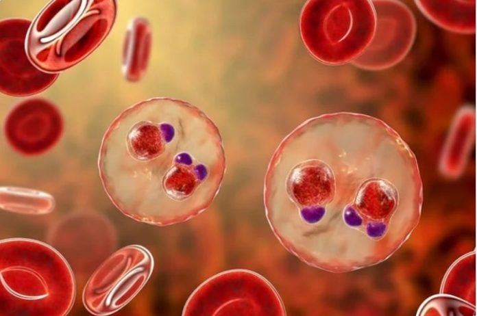 Matrix-M, Saponin-Based Adjuvant Boosts Malarial Immunity