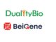 BeiGene and DualityBio Announce Partnership to Advance Differentiated Antibody Drug Conjugate Therapy for Solid Tumors