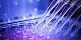 Lonza Partners with Cryoport and Strengthens its Vein-to-vein Delivery Network in Cell & Gene Therapy 