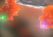 Grey Wolf completes £2.5m Series A2 financing for development of therapies targeting ERAP2 Grey Wolf completes £2.5m Series A2 financing for development of therapies targeting ERAP2