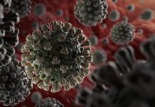Coronavirus Drug Development Update from NanoViricides, Inc