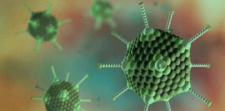 Valo Therapeutics to Support Development of a Pan  - Coronavirus Vaccine
