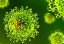 Astellas Efforts Against the Spread of the Coronavirus Disease (COVID-19) 