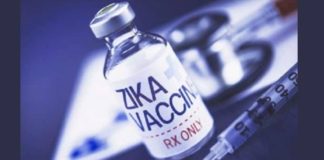 Enesi Pharma partners with Adelaide University for Zika vaccine