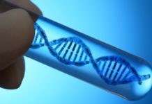 Artificial DNA