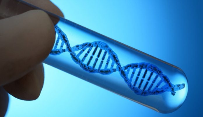 Artificial DNA